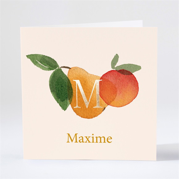 Faire-part naissance Cocktail fruité pliée réf.N46195