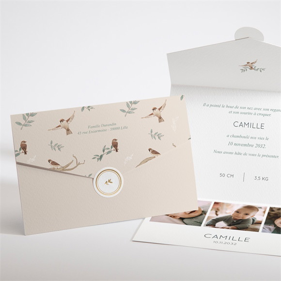 Faire-part naissance Sur un arbre perché enveloppe réf.N97158