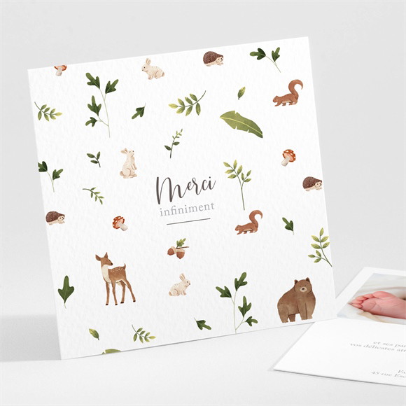 Remerciement naissance Joyeux Compères réf.N301432