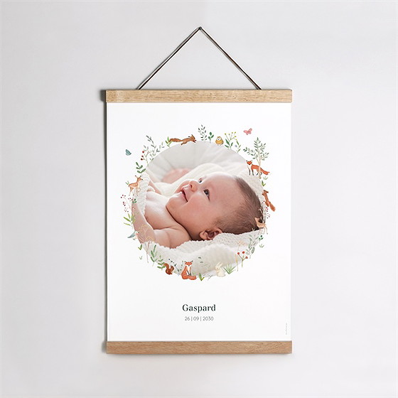 Affiche naissance gaiement