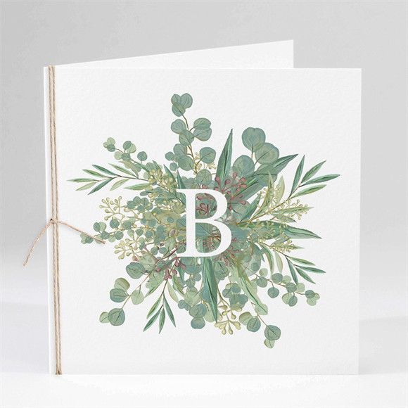 Faire-part naissance Nouvelle printanière plié réf.N451416