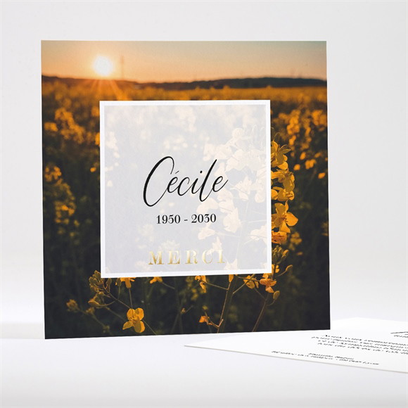 Remerciement décès Eternel réf.N351393