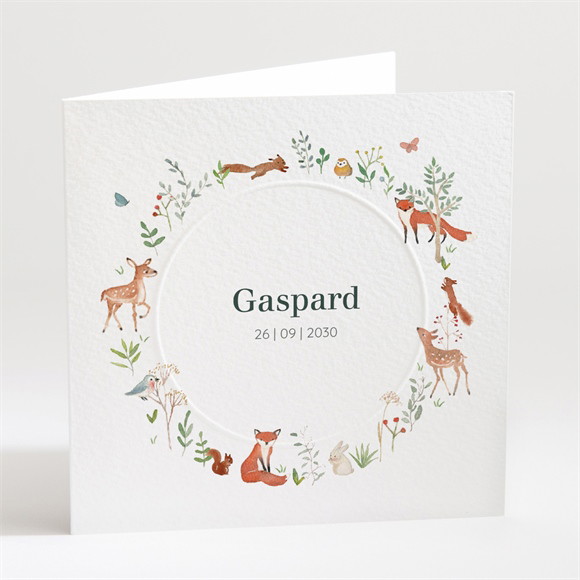 Faire-part naissance Gaiement gaufrage réf.N451447