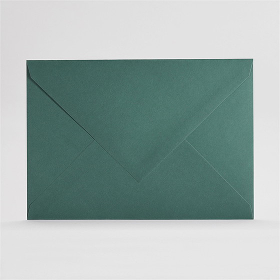 Enveloppe verte rectangle (c5)