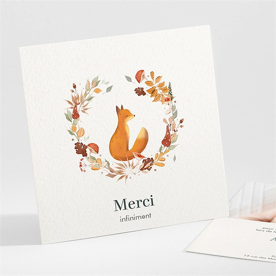 Remerciement naissance mon beau renard