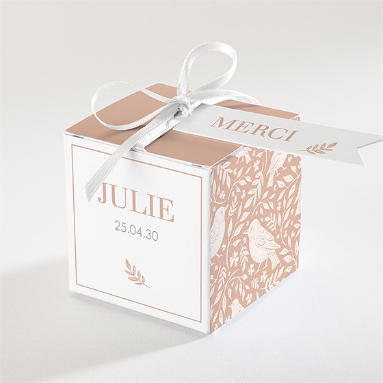 Boîte de dragées baptême mes petits oiseaux