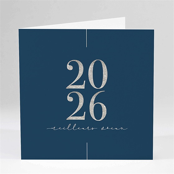 Carte de voeux couleur argent