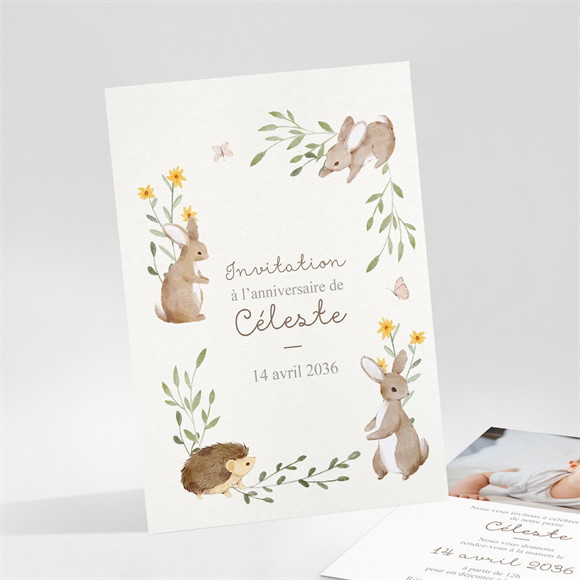 Invitation anniversaire Lapins réf.N25179