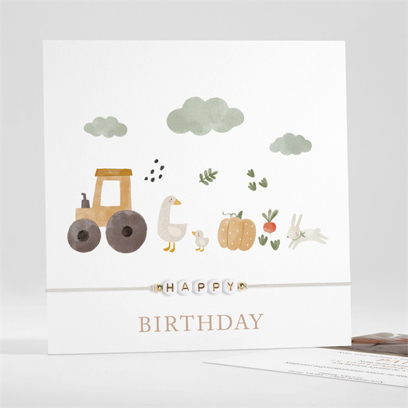 Invitation anniversaire A la ferme réf.N351475