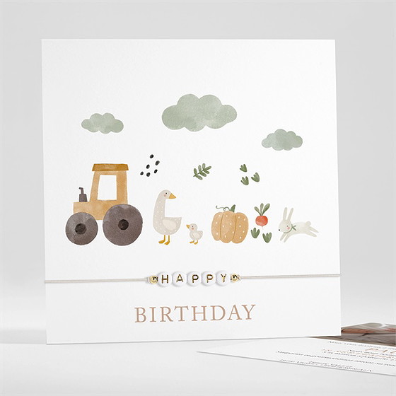 Invitation anniversaire a la ferme