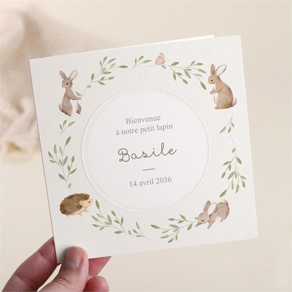 Faire-part naissance La Clé des Champs réf.N451520