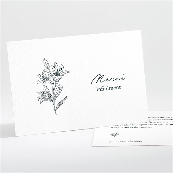 Remerciement décès Sobre Hommage paysage réf.N111337