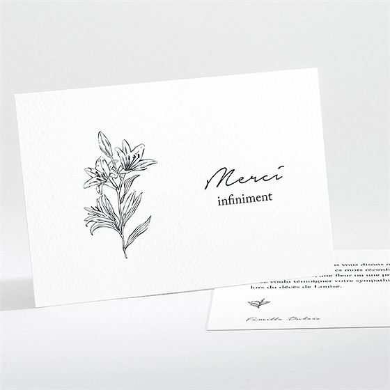 Remerciement décès sobre hommage paysage