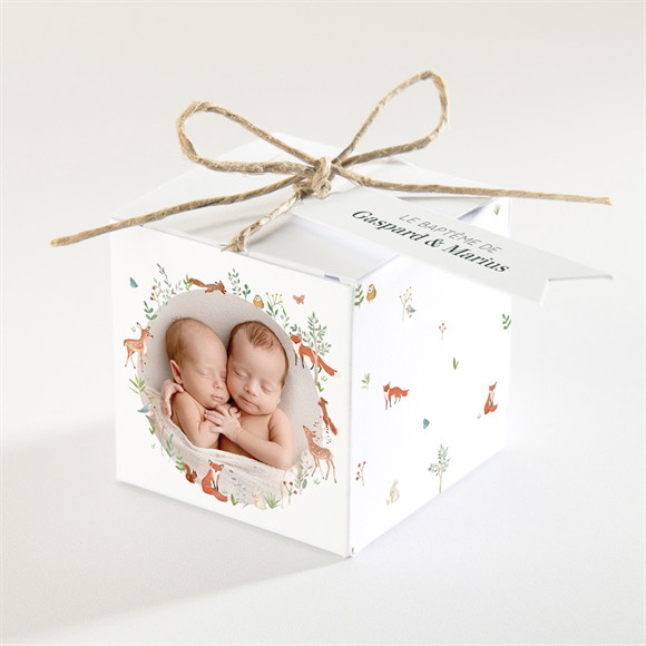 Boîte de dragées baptême Forêt réf.N340709
