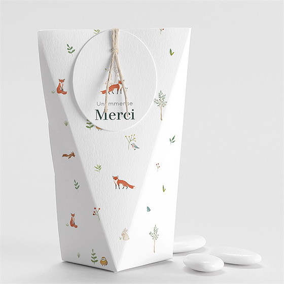 Boîte de dragées baptême forêt étui