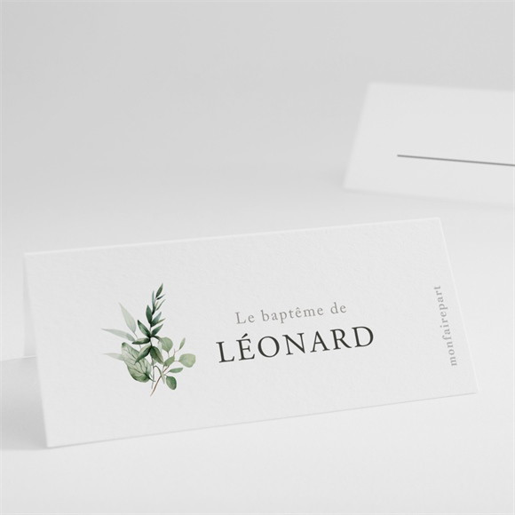 Marque-place baptême L'eucalyptus réf.N440947