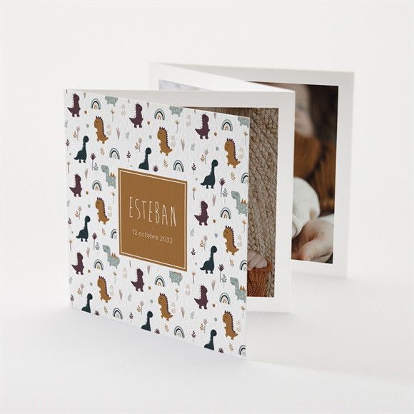 Faire-part naissance Dinosaures triptyque réf.N831185