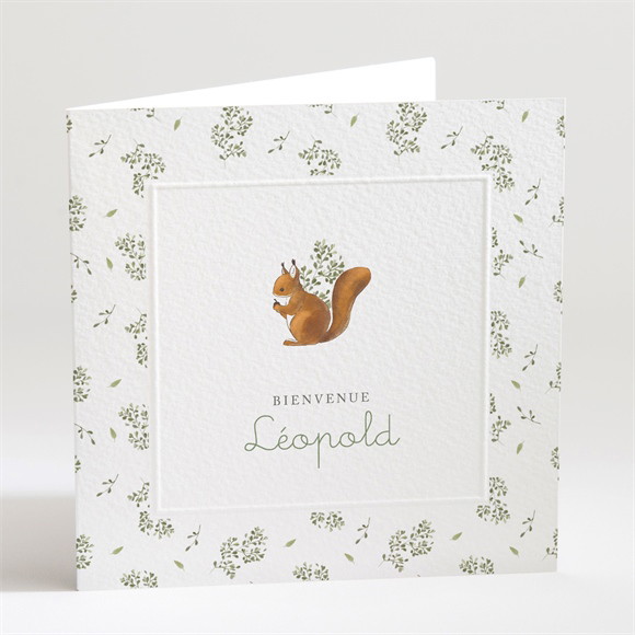 Faire-part naissance Écureuil réf.N451606