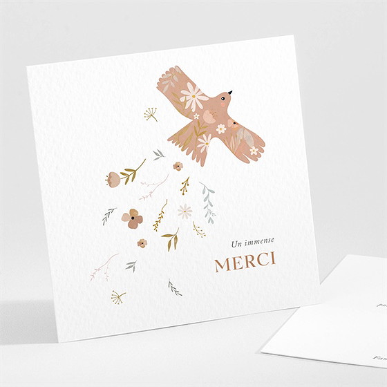 Remerciement communion belle colombe