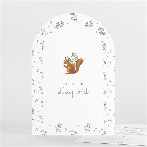 Faire-part naissance Écureuil arche réf.N27141