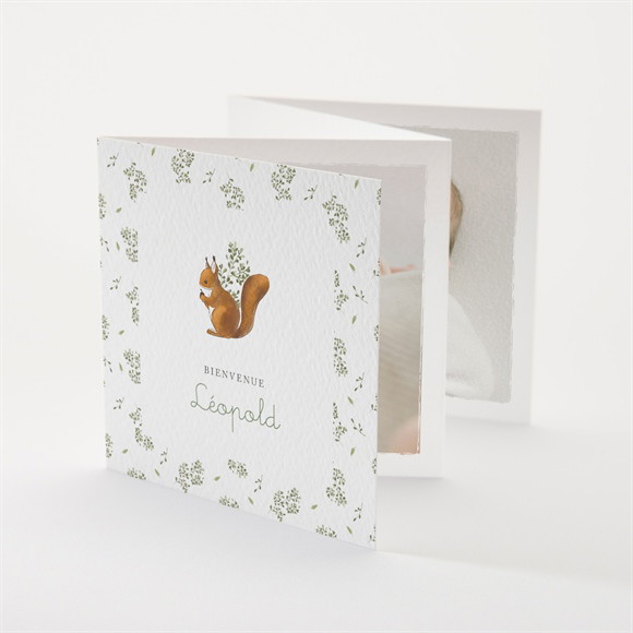 Faire-part naissance Écureuil accordéon réf.N831186