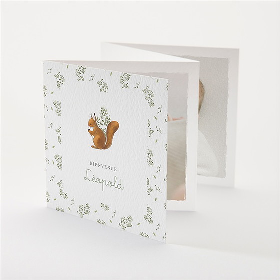 Faire-part naissance écureuil accordéon