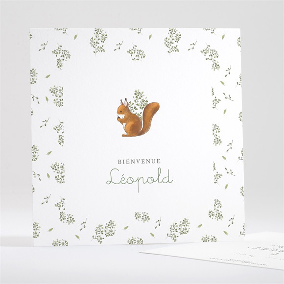 Faire-part naissance Écureuil carré réf.N351537