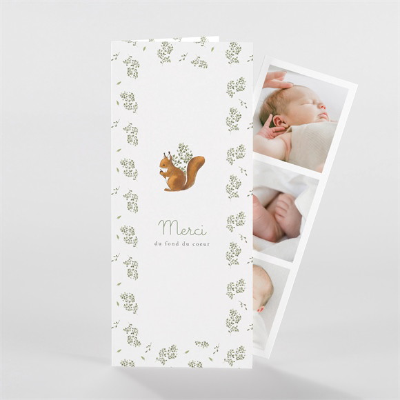 Remerciement naissance Écureuil réf.N981231