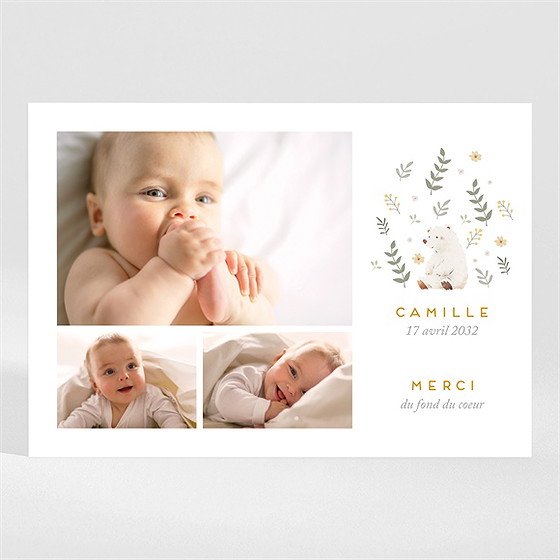 Remerciement naissance le nounours