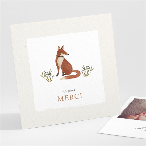 Remerciement naissance Le conte du renard réf.N301573