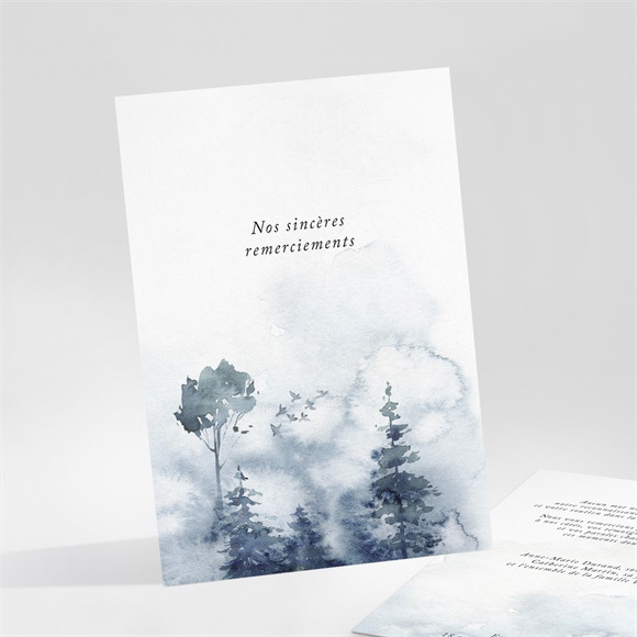 Remerciement décès Brume lumineuse réf.N251124