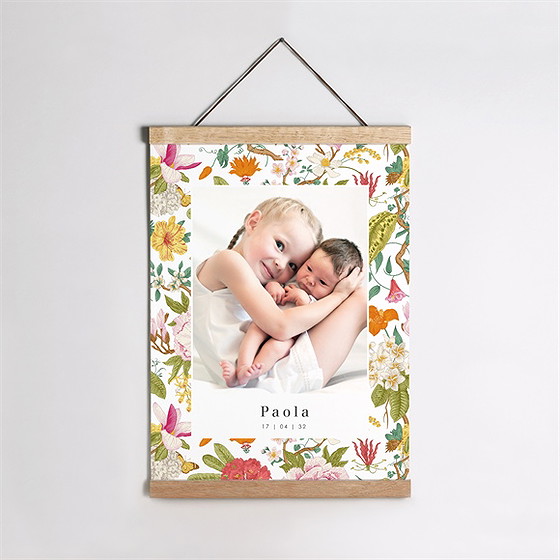 Affiche naissance coloré