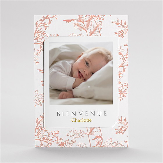 Faire-part naissance notre joie duo