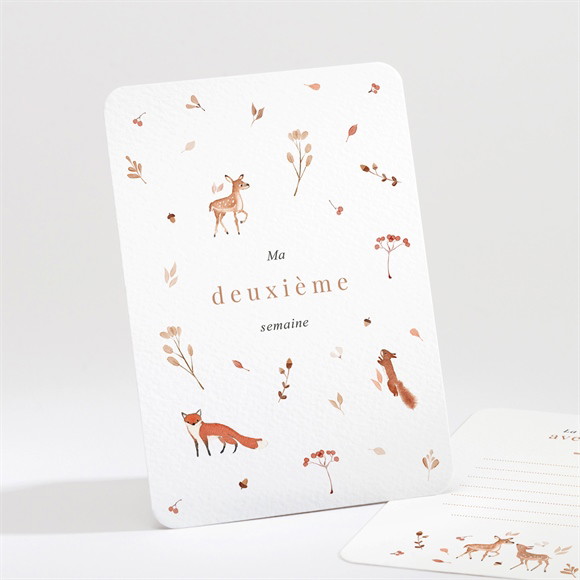 Sacjkt Cartes Étapes Bébé En Bois – 12 Jalons Ronds Imprimés Animaux, Carte Milestone Bébé Pour Photos Naissance Et Baby Shower