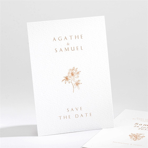 Save the Date mariage passionnément