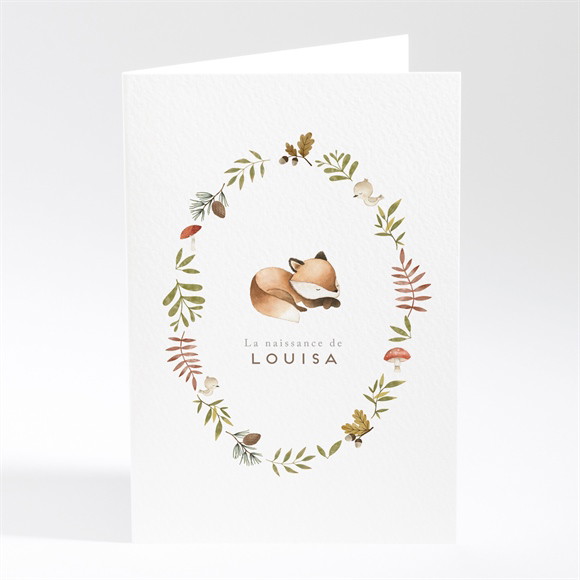 Faire-part naissance Mon renardeau réf.N401916