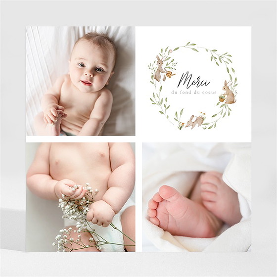 Remerciement naissance petits lapins