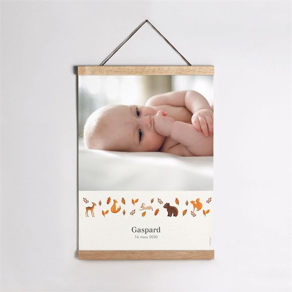 Affiche naissance Renard et Animaux réf.N260443