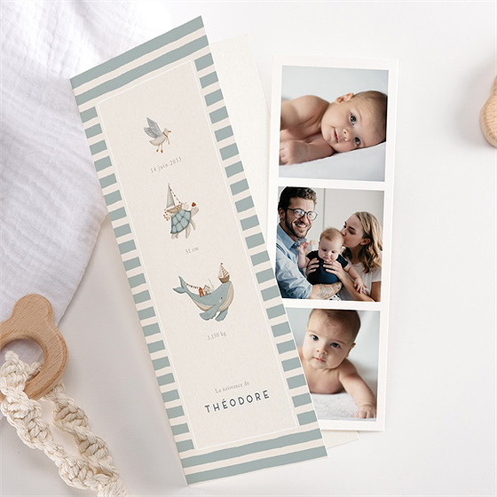 Faire-part naissance animaux marins