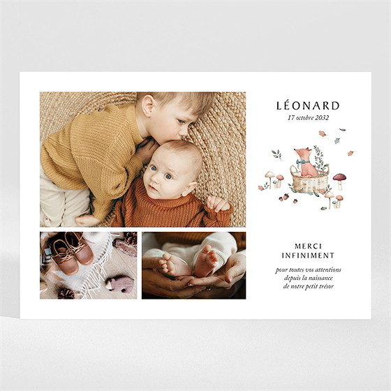 Remerciement naissance champignons