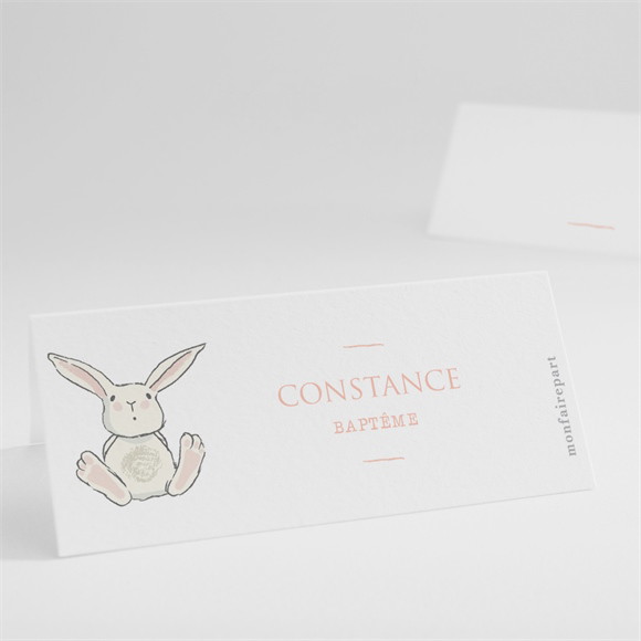 Marque-place baptême Petit Lapin Baptême réf.N4401018