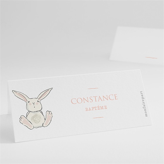 Marque-place baptême petit lapin baptême