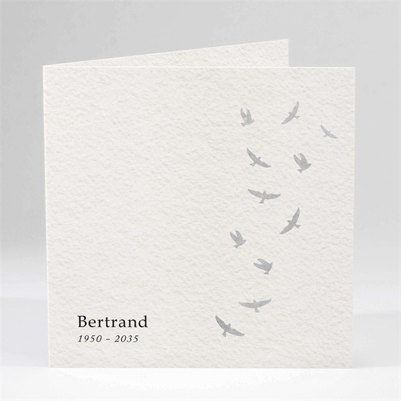 Faire-part décès L'envolée réf.N451660