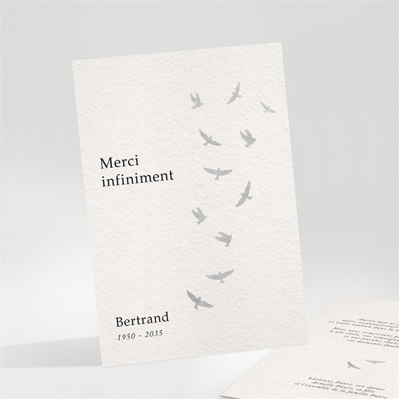 Remerciement décès L'envolée réf.N251151