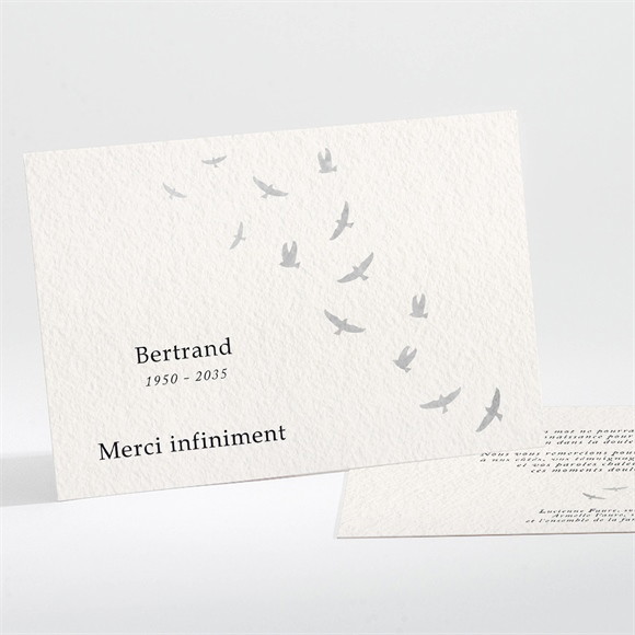 Remerciement décès L'envolée paysage réf.N111353