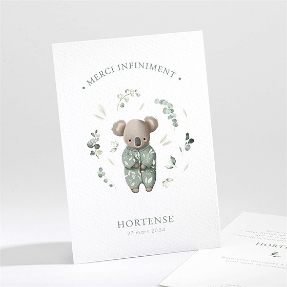 Remerciement naissance koala jungle