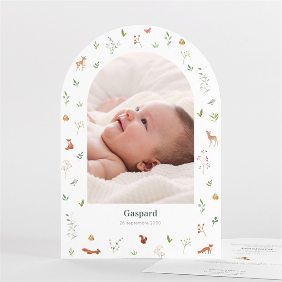 Faire-part naissance Gaiement arche réf.N27175