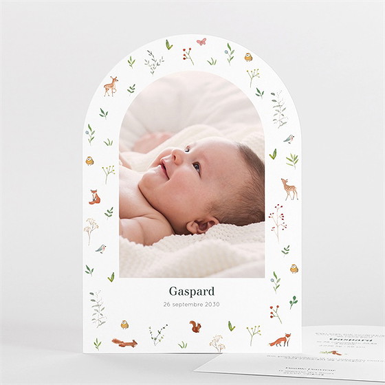 Faire-part naissance gaiement arche