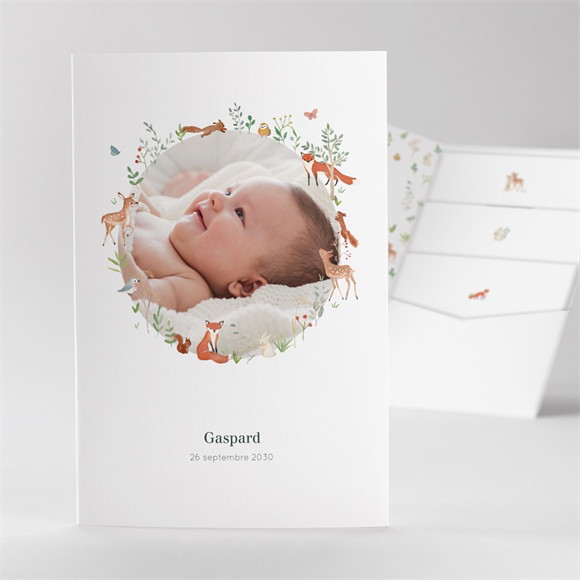 Faire-part naissance Gaiement pocketfold réf.N841104