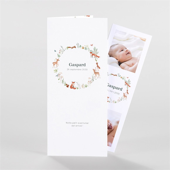 Faire-part naissance Gaiement duo magnet réf.N88104